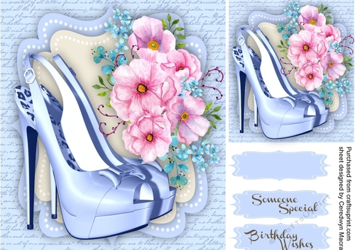 Beautiful Shoes and roses on a Blue script mat 3, 