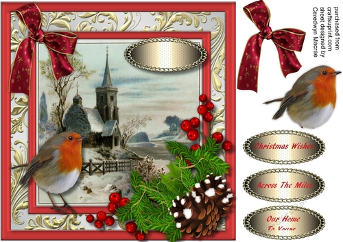 Beautiful Robin and Christmas Church 