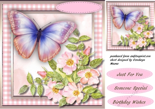 Butterfly and Blossom I