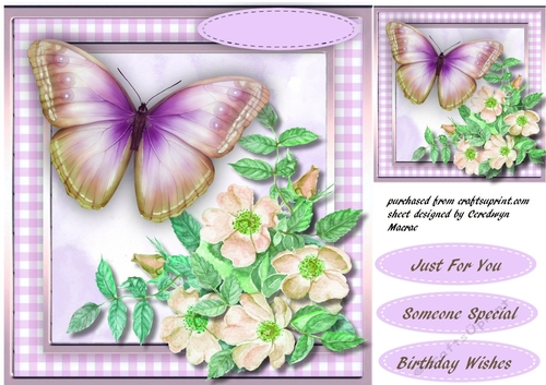 Lilac Butterfly and Blossom 3