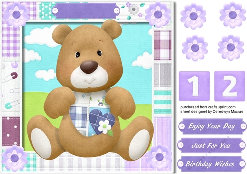 Baby Bear Birthday Wishes