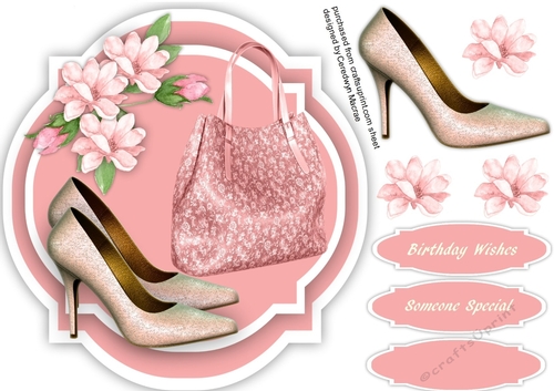 Lovely Pink shoes and Bag on a Shaped Mat 3