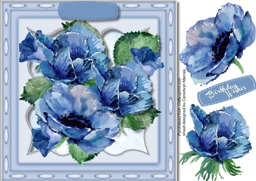 Beautiful Blue Anemones On a Kadare Mat 3