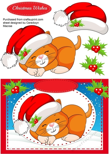 Kittys Christmas Nap