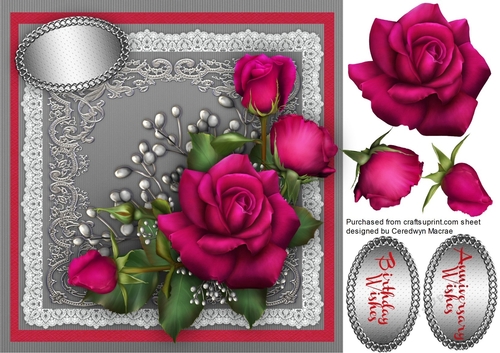 Beautiful Claires Roses