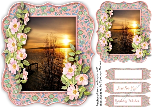 Beautiful Sunset and Blossom 