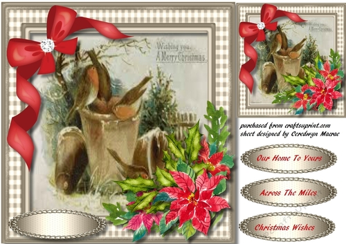 Robins on The Flowerpot
