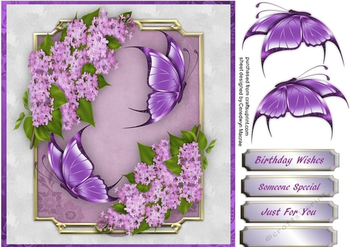 Stunning Lilac and Butterflys 