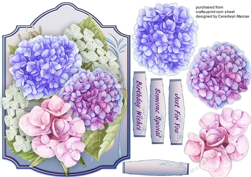 Beautiful Hydrangers on a lilac Mat 