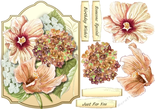 Beautiful Sepia Flowers on a Shaped Mat