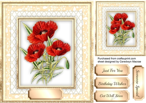 Beautiful Red Poppies in a gold frame 
