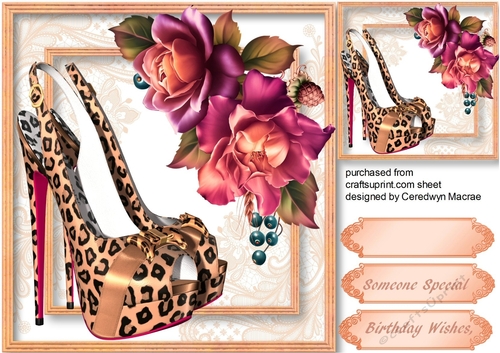 Beautiful Shoes and Cerise Roses