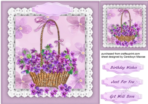 Beautiful Basket of Violets 