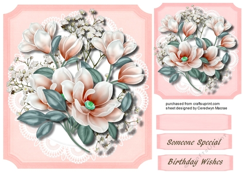 Lovely Soft Pink Magnolias on a Cut out Mat