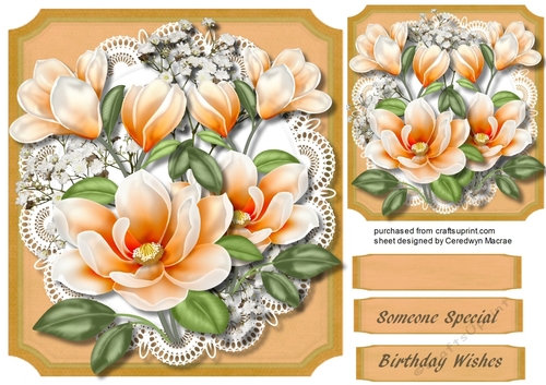 Lovely Apricot Magnolias on a Cut Out Mat 
