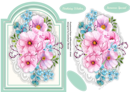 Beautiful Pink Roses on a Shaped Mat