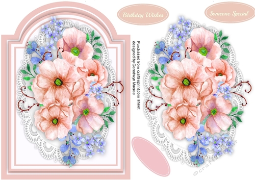 Beautiful Roses on a Apricot Shaped Mat 3