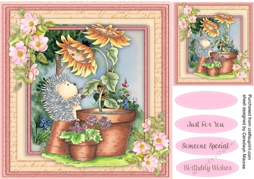 Hedgehog Sunflower Friends