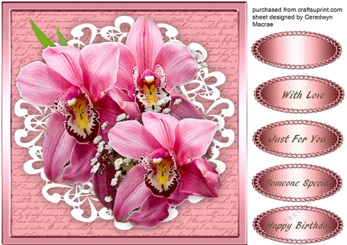 Beautiful Pink Orchids on Cut Out Lace 2
