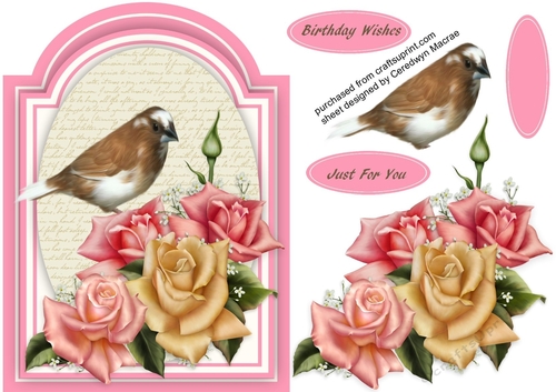 Beautiful Finch on Roses 