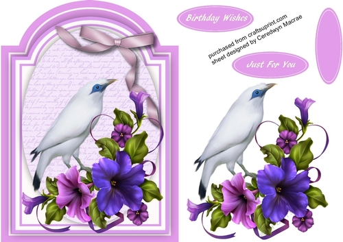 Beautiful Rothschild Myna Bird and Petunias  3
