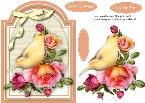 Beautiful Canery on pink roses  5