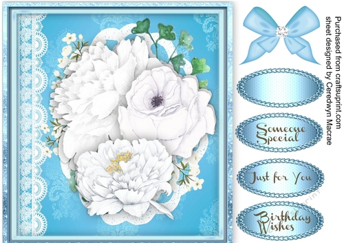 Beautiful White Roses on lace 3 