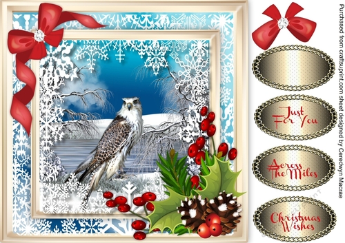 Beautiful Bird and Snowflakes .