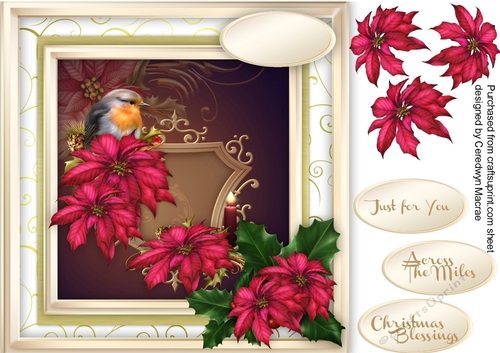 Beautiful Robin and Poinsettias 