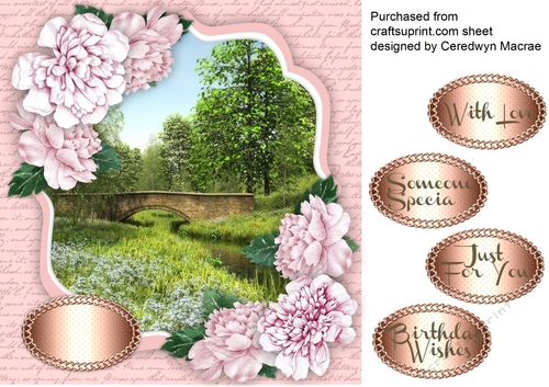 Beautiful Tranquil scene with roses 