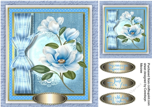 Beautiful Blue Magnolia and Bow 