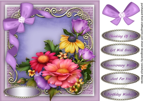 Beautiful Summer Flowers