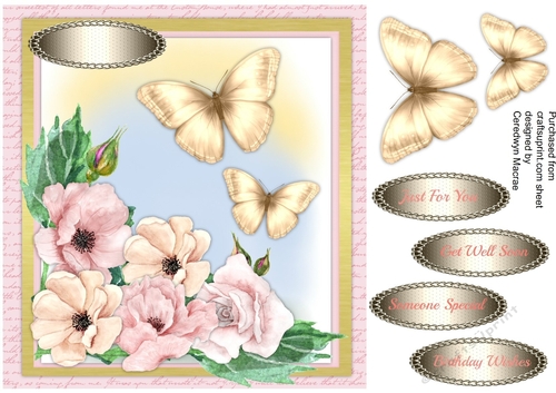 Butterflys and Roses 