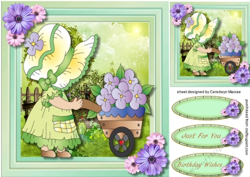 Bonnert Girl and Tthe Daisys 