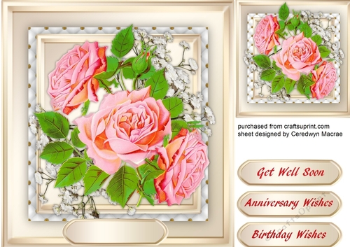 Stunning Pink Roses and Babys Breath