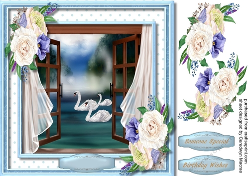 Buautiful Swans in the Lake 