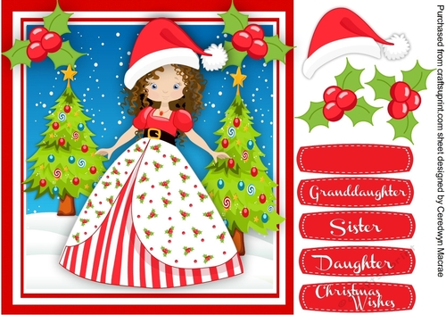 Beautiful Christmas Princess 