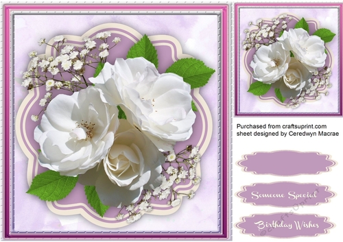 Beautiful White Roses and babys Breath