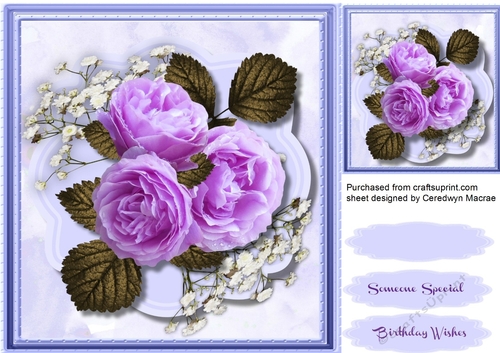 Beautiful Lilac roses and Babys Breath 