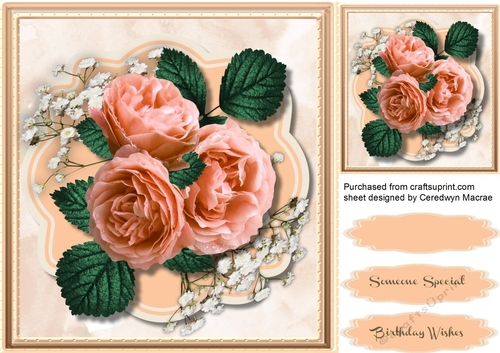 Beautiful Peach roses on Babys Breath 