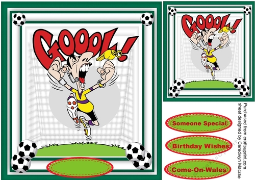 A Great Goal !!!!!!!