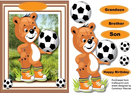 Little Bear the Footballer