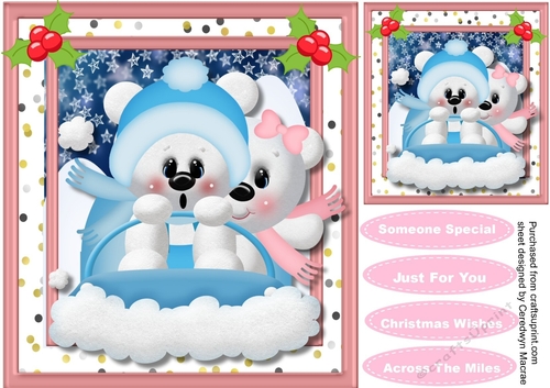 Pola pals in the Snow 
