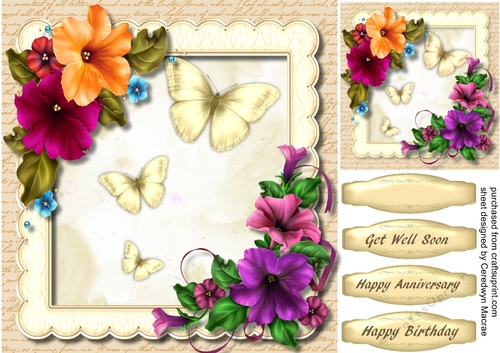 Beautiful Begonias and Butterflys 