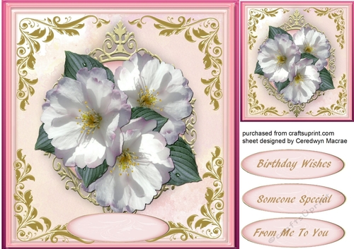 Beautiful White Blosson in Ornate Frame 