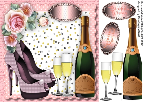 Beautiful Shoes and Bottle of Bubbly 