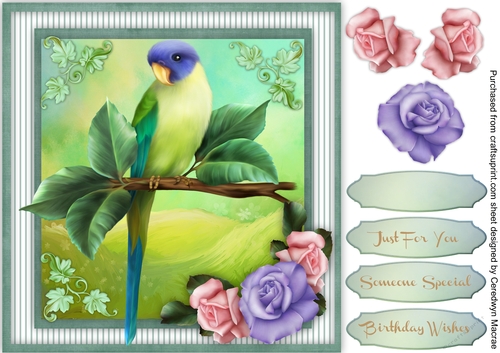 Wonderbird on the Branch 