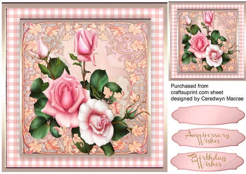 Beautiful Pink Blush Roses 