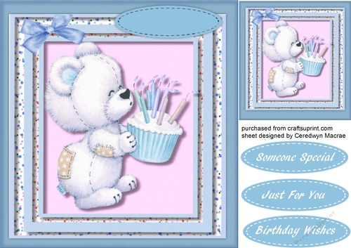 Little Teds Cupcake Birthday 