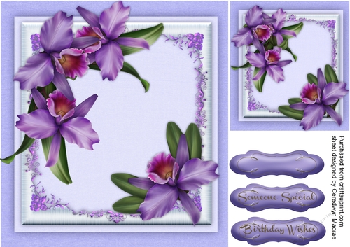 Beautiful Orchids on a Floral Frame 